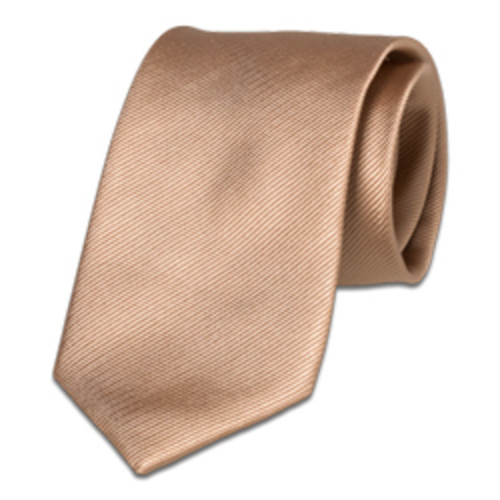 Cravate beige (1)