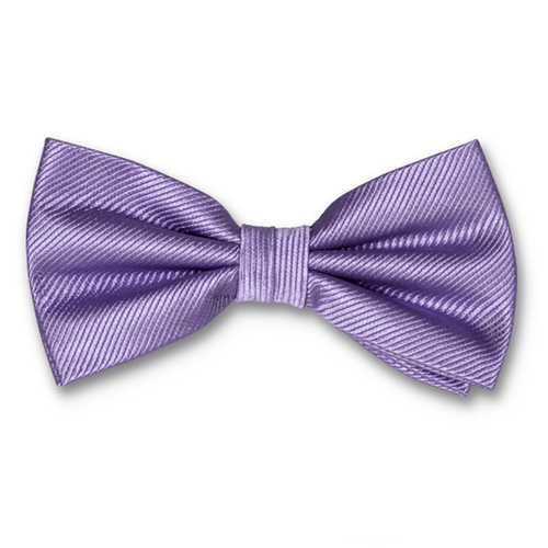 Nœud papillon homme lilas clair (1)