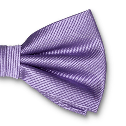 Nœud papillon homme lilas clair (2)