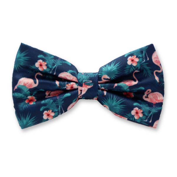 Nœud papillon Flamant (1)