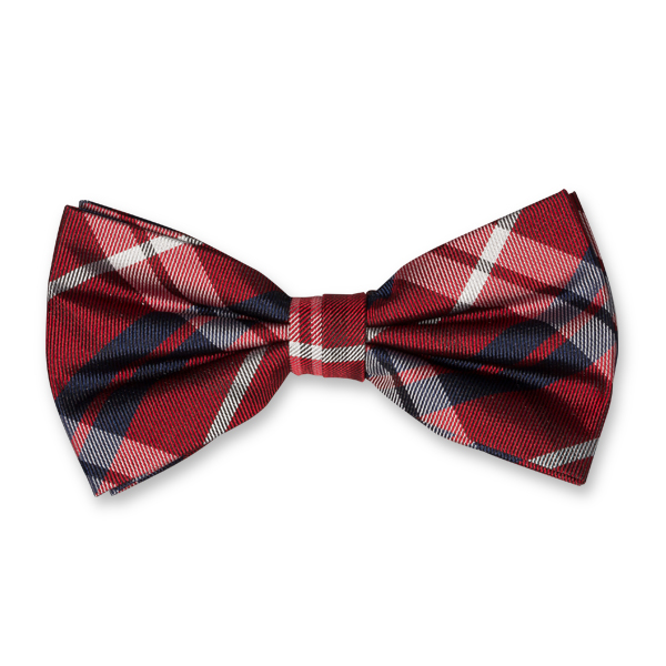 Nœud papillon à carreaux rouge/bleu (1)