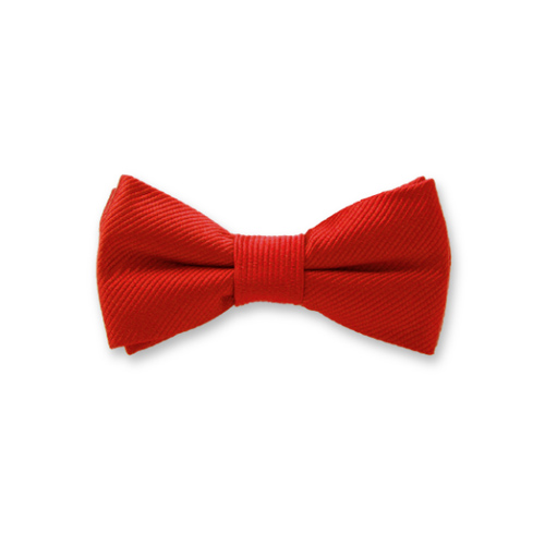 Noeud Papillon Rouge pour Enfants (1)