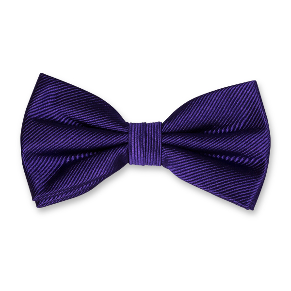 Nœuds papillon et cravates Satin Fiorio pour homme en coloris Violet Homme Accessoires Cravates 