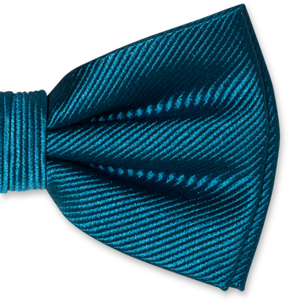 Nœud papillon homme pétrole (2)