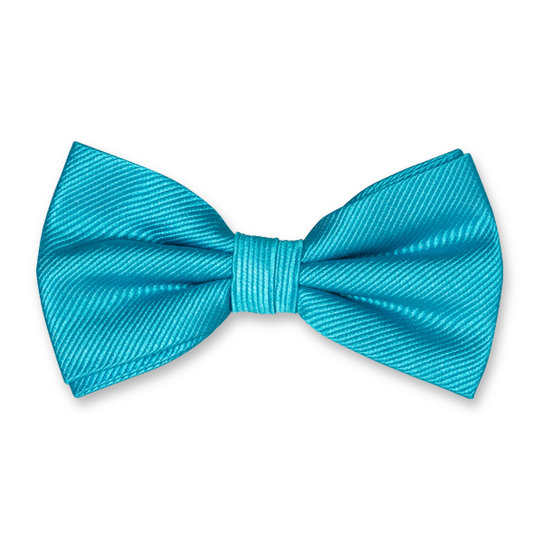 Nœud papillon homme turquoise (1)
