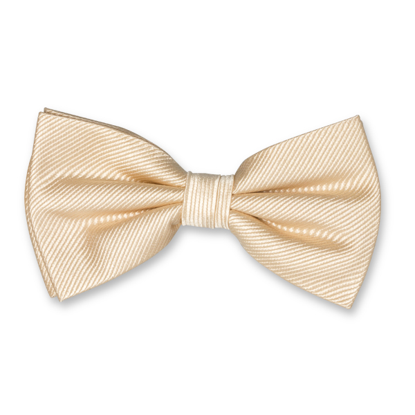 Nœud papillon homme écru (1)