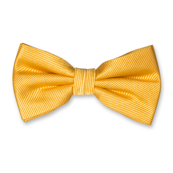 Nœud papillon homme jaune  (1)