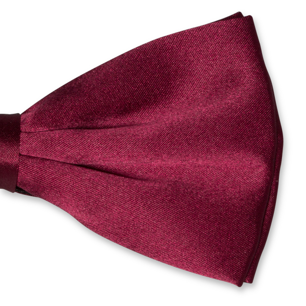 Nœud papillon homme bordeaux (2)