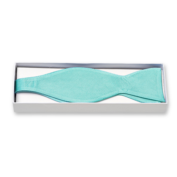 Nœud papillon aqua à nouer  (2)