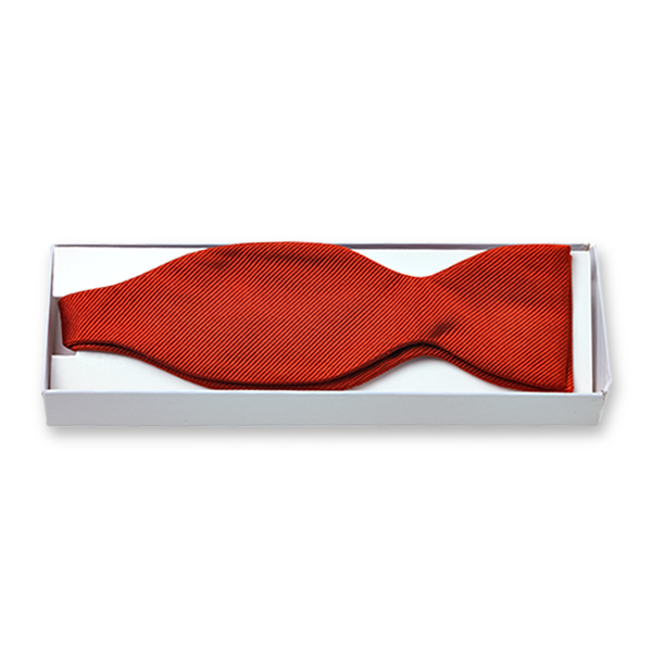 Nœud papillon rouge à nouer  (2)