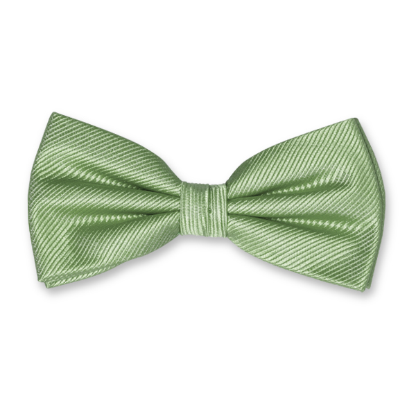 Nœud papillon homme vert pastel (1)