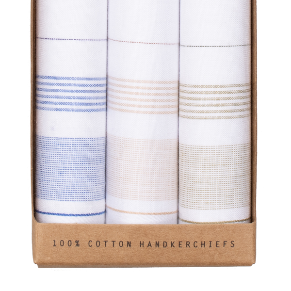 Mouchoirs homme - Rayé (2)