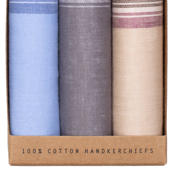 Mouchoirs homme - Beige - Blu (2)