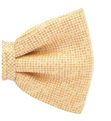 Noeud Papillon jaune Two-tone (2)