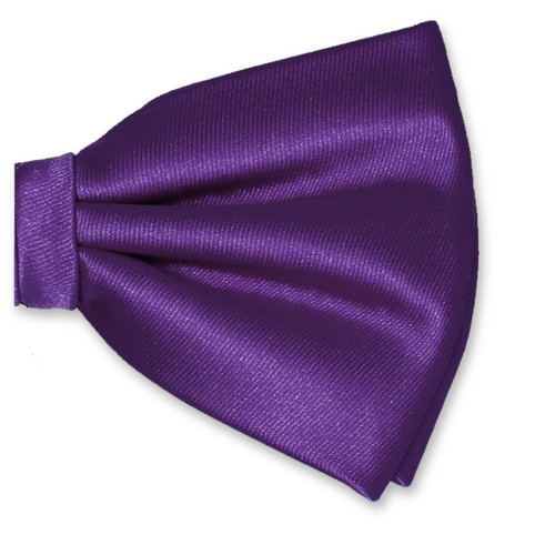 Nœud papillon en polyester Violet (2)