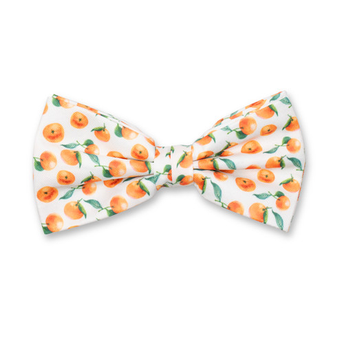 Nœud papillon motif mandarin (1)