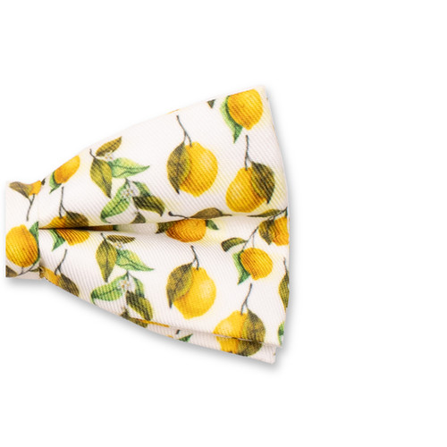 Noeud Papillon pour Enfants - Citron (2)