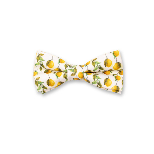 Noeud Papillon pour Enfants - Citron (1)