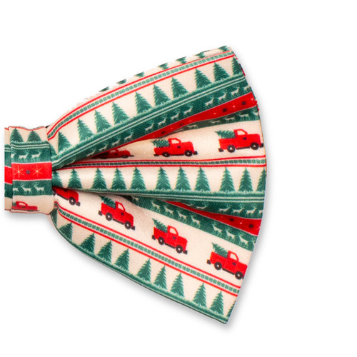 Noeud papillon de Noël - Camion (2)