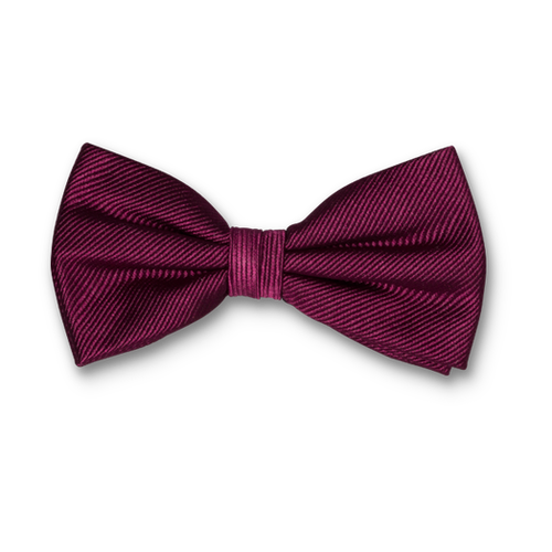 Nœud papillon homme aubergine (1)