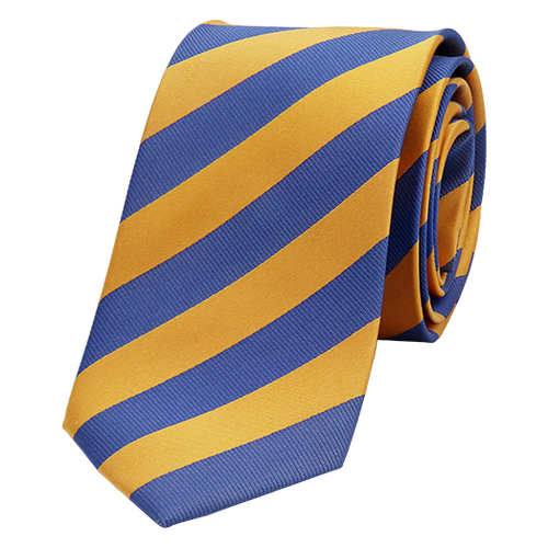 Cravate jaune/bleu (1)