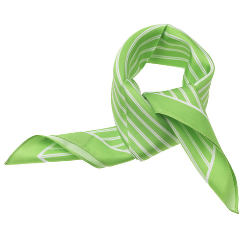 Foulard en soie vert pomme/ blanc rayé (4)