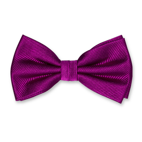 Nœud papillon homme violet (1)