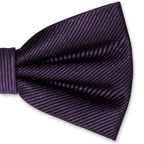 Nœud papillon homme violet foncé (2)