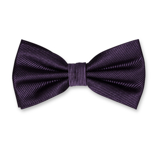 Nœud papillon homme violet foncé (1)