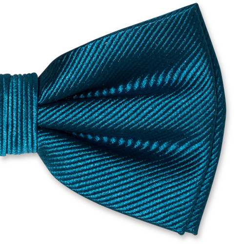 Nœud papillon homme pétrole (2)