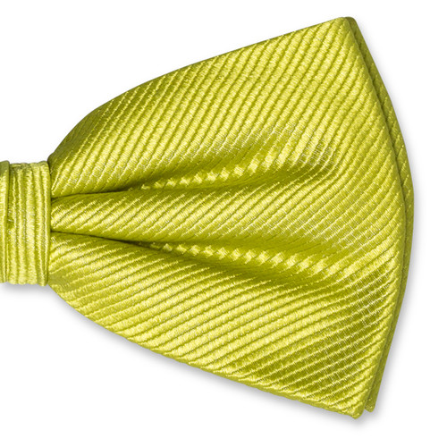 Nœud papillon homme lime (2)