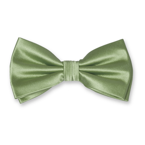 Nœud papillon en polyester Vert sauge (1)