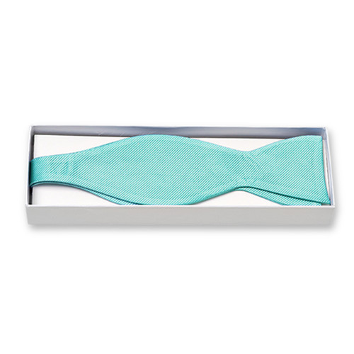 Nœud papillon aqua à nouer  (2)