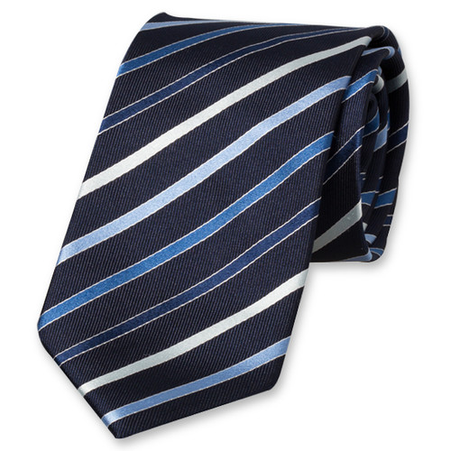Cravate aux rayures bleues (1)