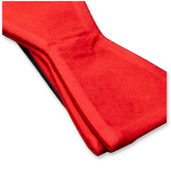 Nœud papillon rouge à nouer (2)