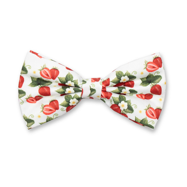 Nœud papillon - Fraise (1)