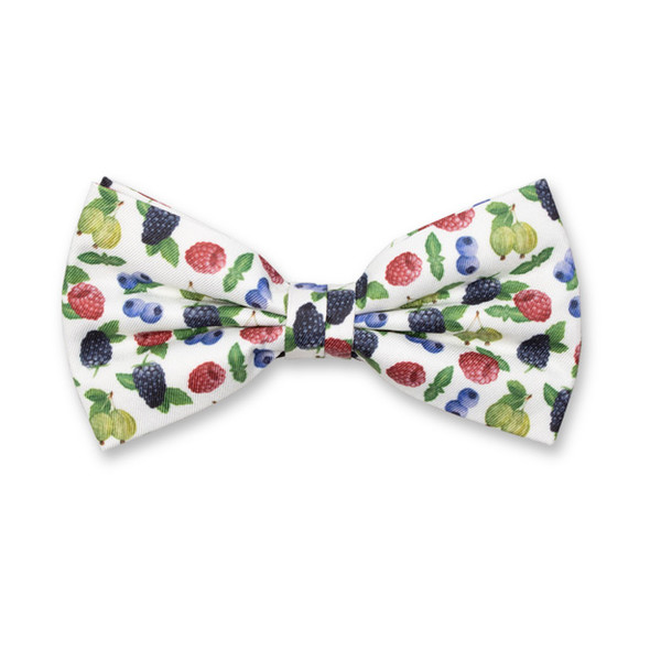 Nœud papillon - Fruits des bois (1)