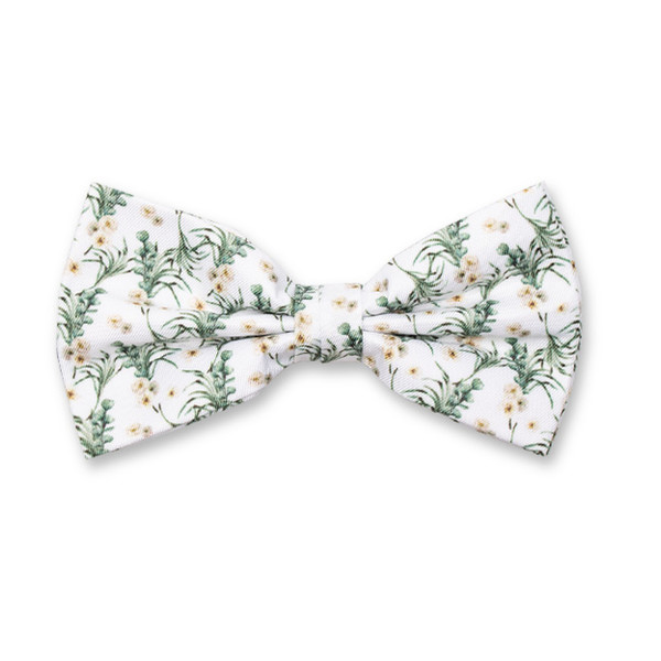 Nœud papillon Fleuri - Eucalyptus (1)