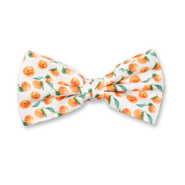 Nœud papillon motif mandarin (1)