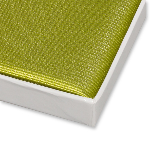 Pochette lime (2)