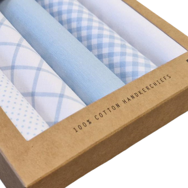 Mouchoirs homme - Bleu (2)