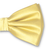 Nœud papillon en polyester jaune pale - Thumbnail 2