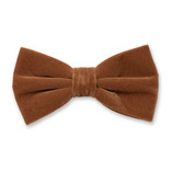 Nœud papillon en velours Cognac - Thumbnail 1