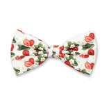 Nœud papillon - Fraise - Thumbnail 1