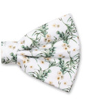 Nœud papillon Fleuri - Eucalyptus - Thumbnail 2