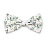 Nœud papillon Fleuri - Eucalyptus - Thumbnail 1