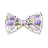 Nœud papillon violet - Hortensia - Thumbnail 1