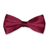 Nœud papillon homme bordeaux - Thumbnail 1