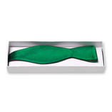 Nœud papillon vert à nouer  - Thumbnail 2