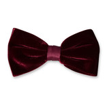 Nœud papillon en velours bordeaux  - Thumbnail 1